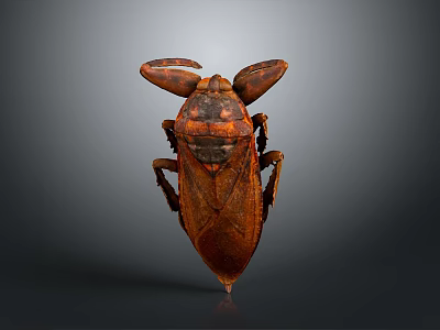 Large Brown Beetle With Prominent Antennae Shiny Exoskeleton And Dark Background View 3d model