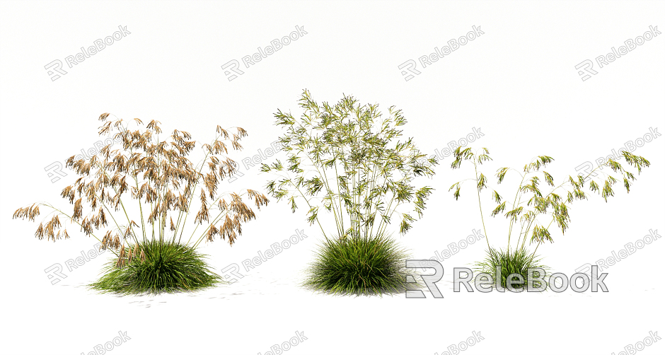 Modern Plant Plant Flowering Grass Rice Ear Wheat Shrub Floriculture Flowers model