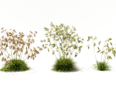 Modern Plant Flowering Grass Rice Ear Wheat Shrub Floriculture Flowers model