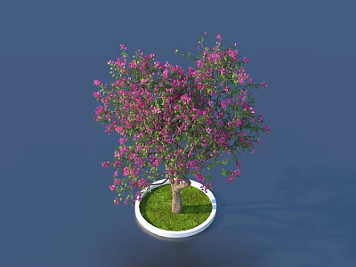 Arbor with Pink Flowers in Round White Pot and Green Grass on Dark Blue Background 3d model