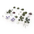 Colorful Decorative Plants For Home Decoration Including Green Grass And Purple Flowers