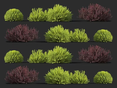 Various Green And Purple Shrubs With Rounded Shapes For Landscaping Projects 3d model