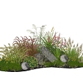 Modern Plants Flowers Pennisetum Reed Courtyard Flowers and Plants Landscape Stone 3d model