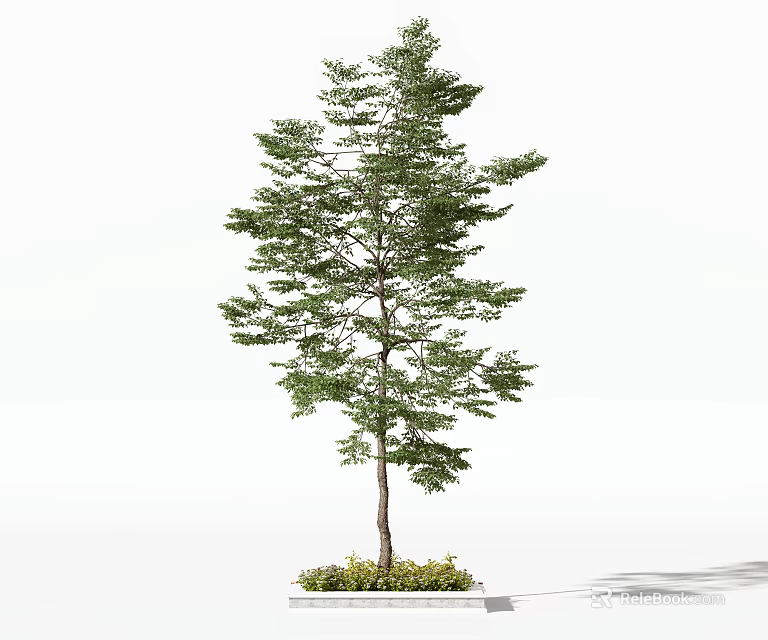 Lush Green Arbor With Healthy Trunk And Fresh Leaves In Natural Setting 3d model 