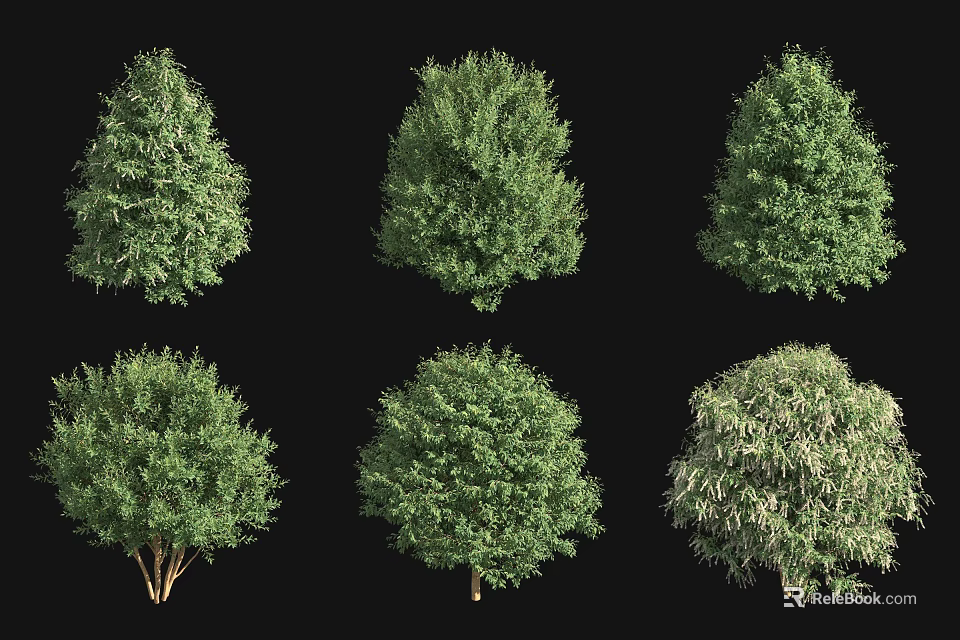 Various Types of Green Shrubs with Different Shapes Isolated on Black Background 3d model 