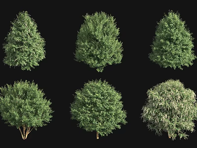 Various Types of Green Shrubs with Different Shapes Isolated on Black Background 3d model