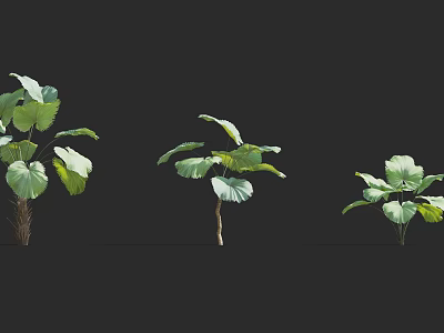 Modern shrubs 3d model Modern shrubs 3d model