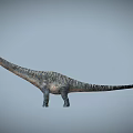 Reptile Dinosaur Featuring Long Neck Long Tail And Textured Skin Body Structure