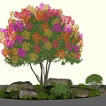 Courtyard landscape tree multicolor bougainvillea modeling tree stone cover trees 3d model