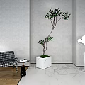 Bonsai Plant in Modern Interior with Checkered Chair Side Table and Floor Lamp