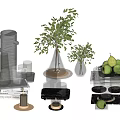 Stylish Decorative Ornament Set with Glassware Green Plants Pears Books and Trays