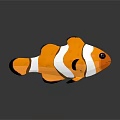 3D Clownfish With Orange Body White Stripes Black Edges Black Eyes And Reflection