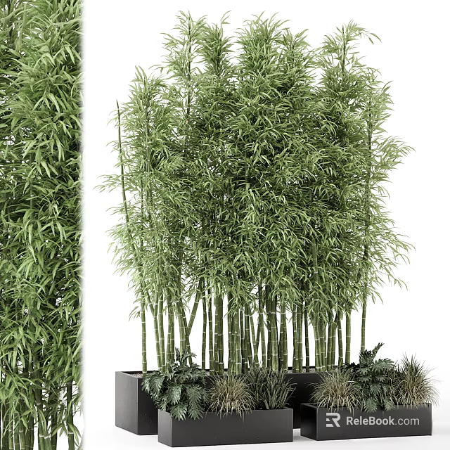 Tall Green Bamboo Potted Plant with Lush Foliage for Indoor Home Decoration 3d model 