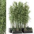 Tall Green Bamboo Potted Plant with Lush Foliage for Indoor Home Decoration