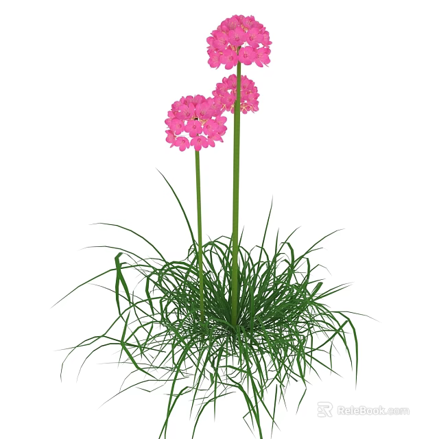 Pink Flowers With Three Blooms Long Green Stems And Lush Green Grass 3d model 