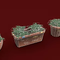 Green Leafy Plants Growing In Rectangular And Round Clay Flower Pots With Markings 3d model