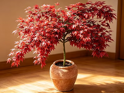 Bonsai Plant With Vibrant Red Leaves In Terracotta Pot On Wooden Floor Bathed In Sunlight 3d model