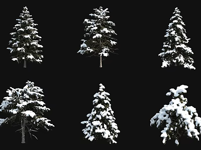 Snow Covered Arbor Trees with Different Shapes and Snowy Branches on Black Background 3d model