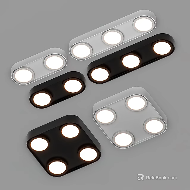 Modern Black And White Downlight Spotlights With Multiple Bulbs Sleek Design 3d model