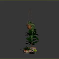 Indoor Plant Arrangement Featuring Hanging Basket Vines And Potted Large Leaf Plants