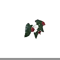 Vibrant Red Blooming Flowers With Lush Green Leaves And Fresh Natural Foliage