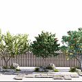 Arbor Trees Featuring Green Leaves And Fruits By Wooden Fence And Stone Path