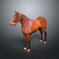 Realistic Brown Horse Standing Gracefully Against Dark Background With White Hooves