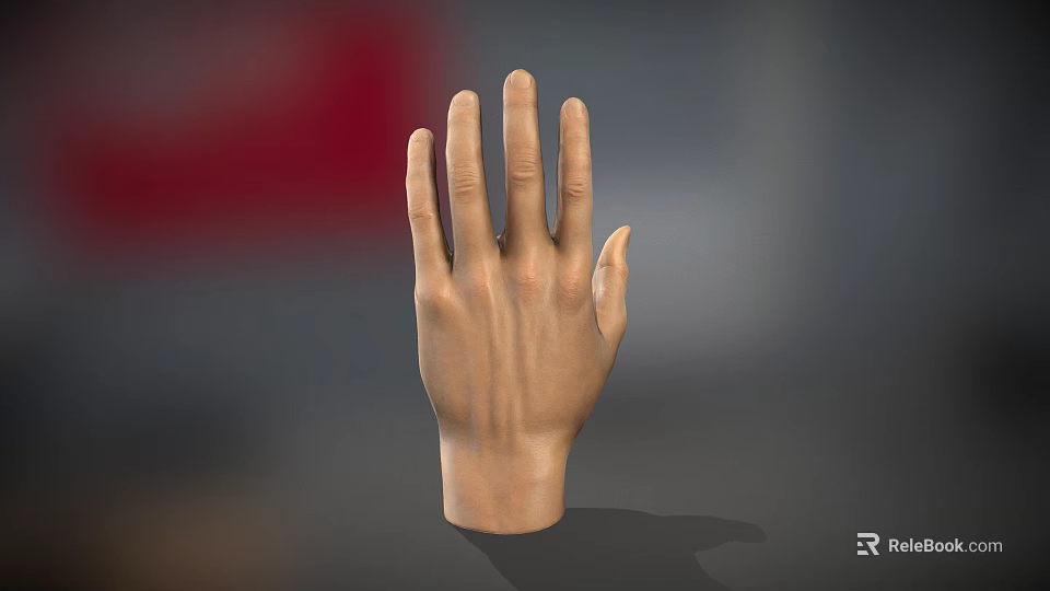Realistic Human Hand Anatomical Model With Detailed Fingers And Natural Skin Texture 3d model 