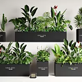 Decorative Potted Bonsai Plants With Cactus Ferns And Large Leaves In Black Pots