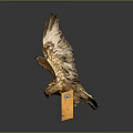Golden Eagle Sculpture In Flight Pose With Spread Wings On Black Base 3d model