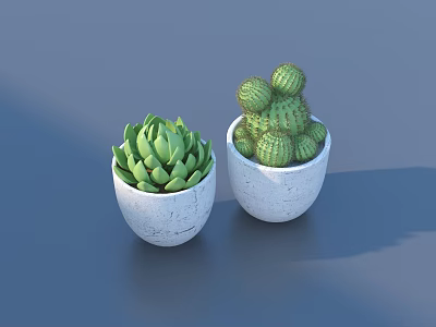 Two White Potted Plants with Succulent and Cactus for Indoor Decor 3d model