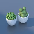 Two White Potted Plants with Succulent and Cactus for Indoor Decor 3d model