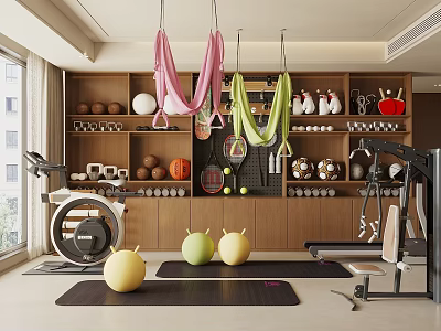 Indoor Sports Equipment Setup with Hanging Straps Yoga Balls Mats and Fitness Machines 3d model