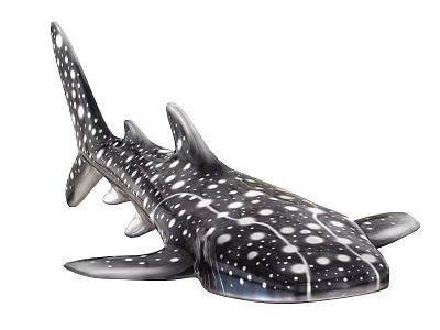 Large Whale Shark Model Featuring Black And White Spotted Body Dorsal And Pectoral Fins 3d model