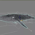 Realistic Dark Blue Whale 3D Model With Smooth Surface As Aquatic Underwater Creature 3d model
