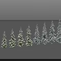Snow Covered Tall Pine Trees In Scenic Natural Winter Forest Landscape