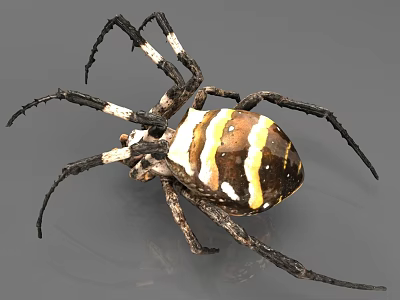 Colorful Reptile With Yellow White Black Striped Body And Long Legs On Grey Surface 3d model