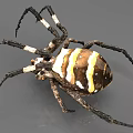 Colorful Reptile With Yellow White Black Striped Body And Long Legs On Grey Surface