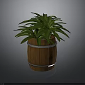 Wooden Barrel Planter With Lush Green Plant And Silver Metal Bands