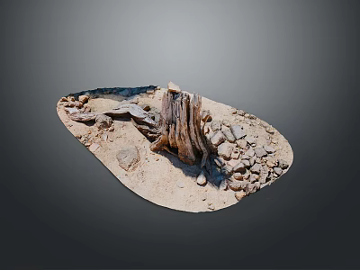 Natural Plant Growth Environment With Dry Wood Stones And Sandy Ground 3d model