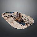 Natural Plant Growth Environment With Dry Wood Stones And Sandy Ground