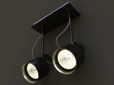 Black Dual head Adjustable Ceiling Mounted LED Spotlights With Warm Light 3d model
