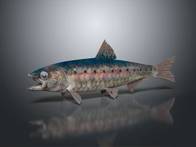 Colorful Fish with Detailed Scales and Open Mouth on Gray Background With Reflection 3d model
