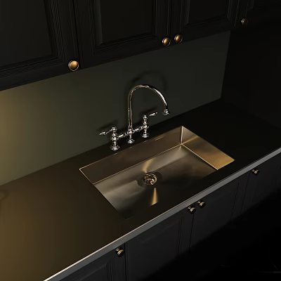Stylish Kitchen Faucet With Stainless Steel Sink Black Cabinets And Green Wall In Modern Kitchen 3d model