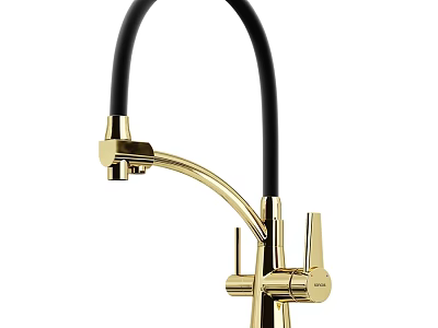 Stylish Golden Kitchen Faucet Featuring Black Flexible Hose And Double Handles 3d model