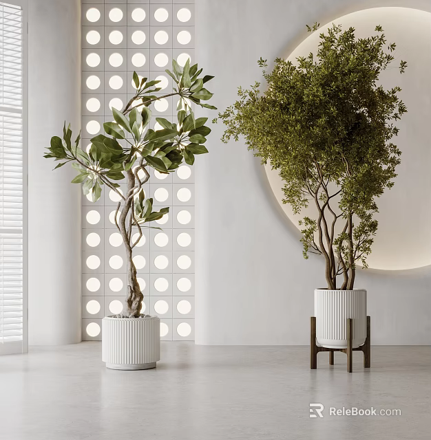 Two Green Trees in White Planters Against Circular Hole Wall With Shutters And Round Light 3d model 