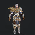 Elven Warrior Character Armor Design With Front Back Views And Gold White Ornate Details