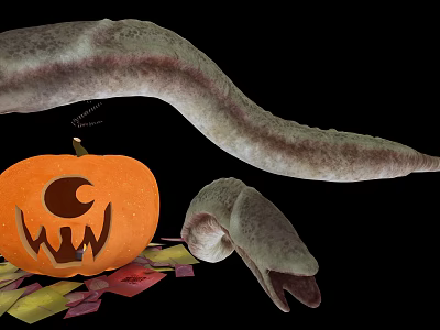 Spooky Halloween Jack O Lantern With Coiled Snake And Colorful Autumn Leaves 3d model