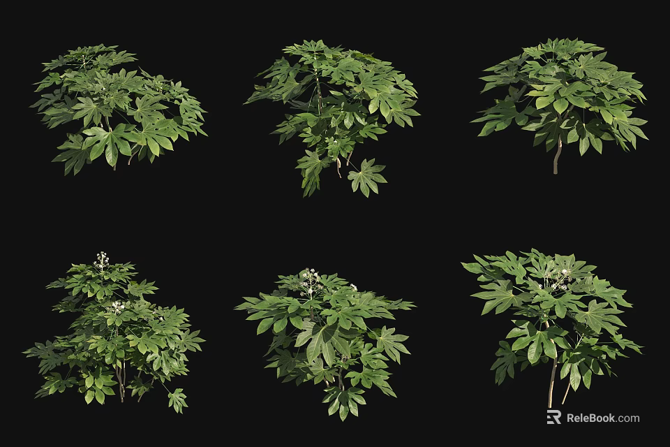 Assorted Green Leafy Plant Combinations Featuring Various Shapes And Lush Foliage 3d model