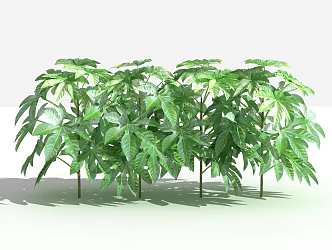 Modern tree octagonal gold plate 3d model